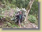 Sikkim-Mar2011 (132) * 3648 x 2736 * (6.52MB)